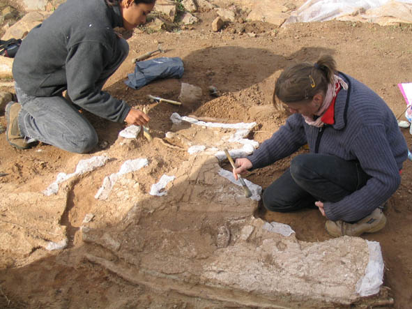 Motllura pompeiana. Prospeccions arqueològiques de can Roina al Turó de les Tres Creus