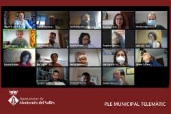 Un moment del Ple ordinari telemàtic del mes de juliol