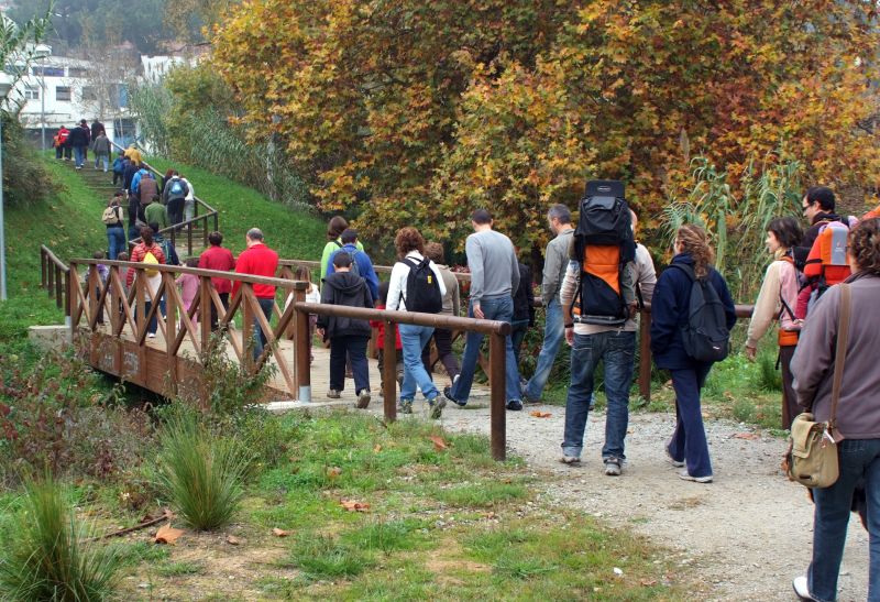 21-11-2009 - Excursió guiada per les vinyes de Montornès