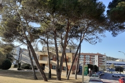 Tram del carrer de Can Parera, al costat de l'Ajuntament