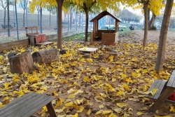 Pati de la Llar d'Infants Pública El Lledoner.