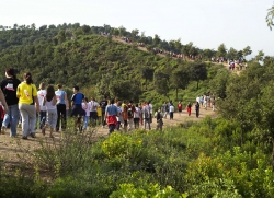 El camí que fa pujada