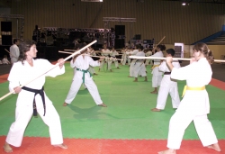 Exhibició de karate al pavelló d'esports