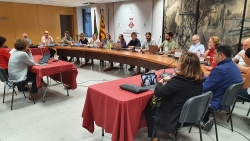 Un moment de la sessió del Ple ordinari del 3 de novembre de 2022