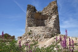 El Castell de Sant Miquel en una de les darreres visites.