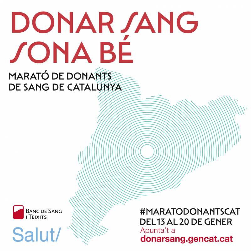 Cartell de l'activitat.