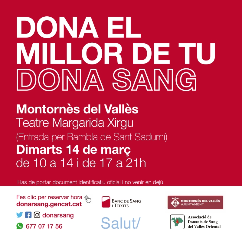 Cartell de l'activitat.