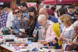 Paradetes de llibres a la plaça de Pau Picasso.