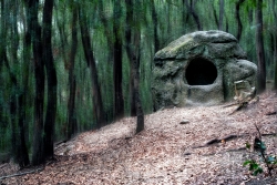 "Bosque encantado", de José Antonio Ríos Robles. 1r premi a l'edició 2022 del concurs.