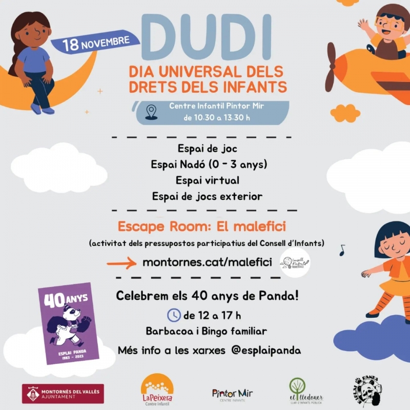 Cartell de l'activitat.