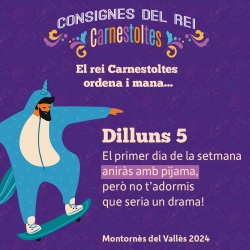 Consignes de Carnaval 2024 - Dilluns 5 de febrer.