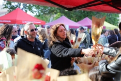 Roses per Sant Jordi. Foto: Ajuntament de Montornès. Autor: J. Bermejo