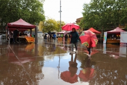 La pluja fent acte de presència durant la tarda de Sant Jordi. Foto: Ajuntament de Montornès. Autor: J. Bermejo