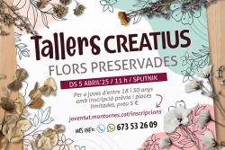 Cartell de l'activitat.
