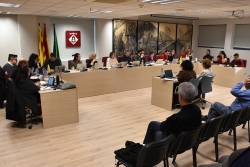 Sessió plenària del 3 d'abril de 2025
