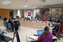 Sessió plenària del 8 de maig de 2025.