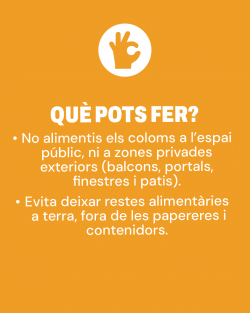 Post 04