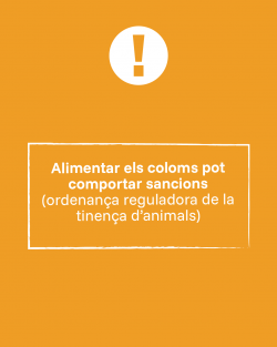 Post 05