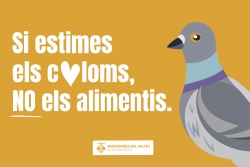 Imatge de la campanya "Si estimes els coloms, NO els alimentis."