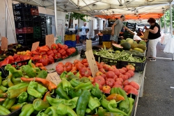 Mercat setmanal de Montornès Centre.