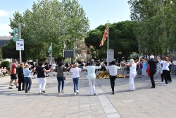 Una ballada de sardanes ha tancat l'acte de la Diada a Montornès.