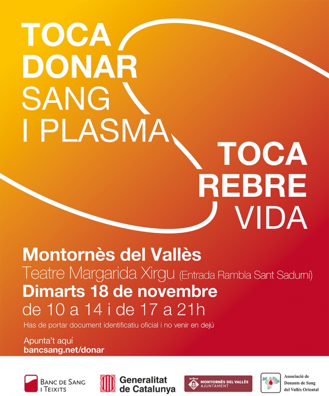 Cartell de l'activitat.