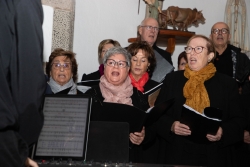 29/11/2025 - Aplec de Sant Sadurní.