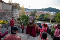 29/11/2025 - Aplec de Sant Sadurní.