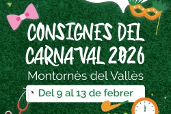 Imatge de les consignes de Carnaval 2026.