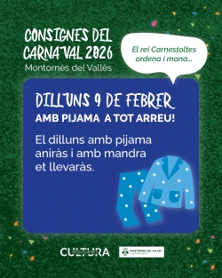 Consignes del Carnaval 2026 - Dilluns 9 de febrer.