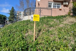 Una de les zones senyalitzades on s'està aplicant el tractament.