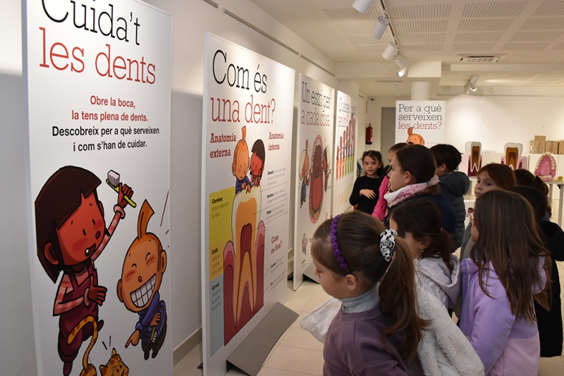 Visites escolars a l'exposició "Cuida't les dents" a Can Saurina.