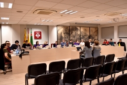 Un moment de la sessió plenària del 5 de març de 2026.