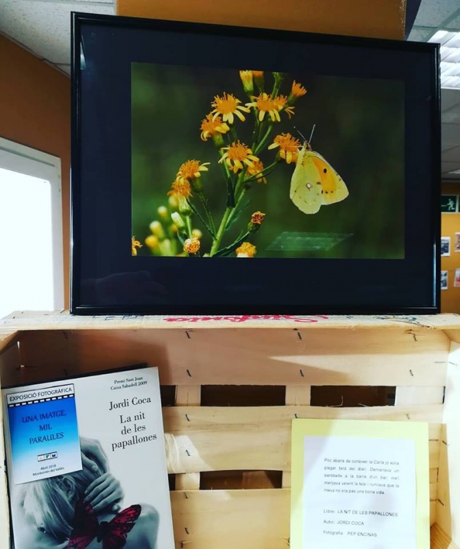 Exposició "Una imatge, mil paraules". (Imatge d'arxiu)