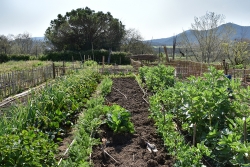 Horts socials i ecològics municipals.