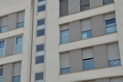 Cartell de l'activitat.