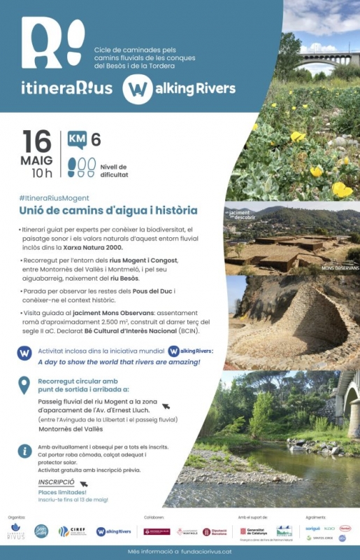 Cartell de l'activitat.