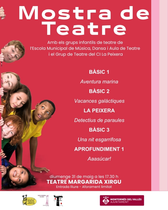 Cartell de l'activitat.