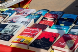 Llibres per Sant Jordi.