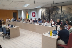 Un moment de la sessió plenària del 4 de juny de 2026.