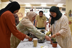 Preparació dels elements vegetals per col·locar-los al Casal de la Gent Gran Nord.