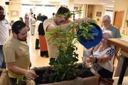 Manteniment de les plantes ubicades al casal.