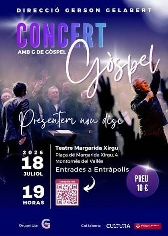 Cartell de l'activitat.