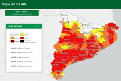 Mapa del Pla Alfa del 13 de juliol de 2026.