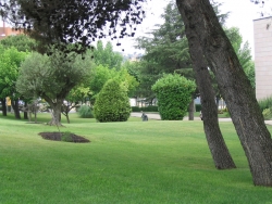 Vista dels Jardins de l'Ajuntament