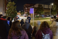 Moment de desvetllar la placa amb els jardins de Natividad Yarza Planas.
