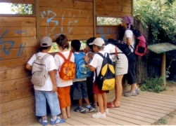 Activitats d'estiu