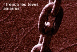 Campanya contra la violència de gènere