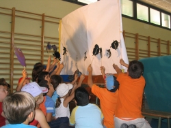 Activitats d'estiu 2007