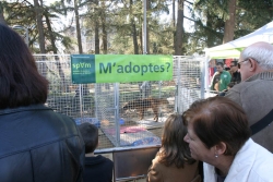 Durant la jornada també es promourà l’adopció de gossos abandonats